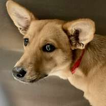 Thumbnail photo of Leina #1