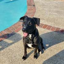 Thumbnail photo of Lucy #2