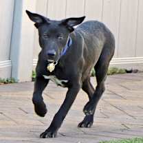 Thumbnail photo of Tristan #1