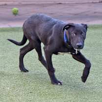 Thumbnail photo of Tristan #3