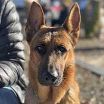 Thumbnail photo of Van #2