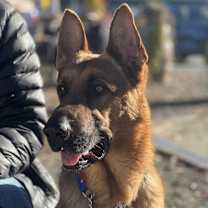 Thumbnail photo of Van #4