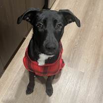 Thumbnail photo of Junior #2