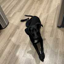 Thumbnail photo of Junior #1