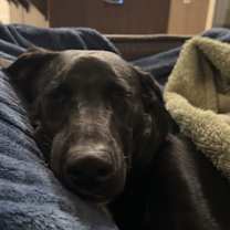 Thumbnail photo of Junior #4