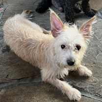 Thumbnail photo of Radar #1