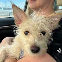 Thumbnail photo of Radar #2