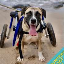 Thumbnail photo of Camilo (CP) #1