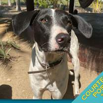 Thumbnail photo of Libby (CP) #1