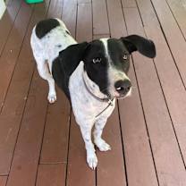 Thumbnail photo of Libby (CP) #2