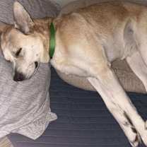 Thumbnail photo of Sedona #2