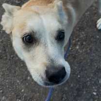 Thumbnail photo of Sedona #3