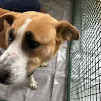 Thumbnail photo of Baby Girl #1