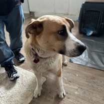 Thumbnail photo of Baby Girl #4