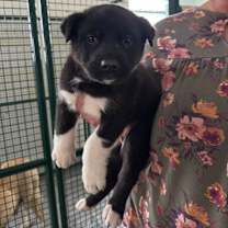 Thumbnail photo of Val #1