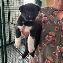 Thumbnail photo of Val #2