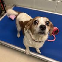 Thumbnail photo of Chuck #3