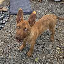 Thumbnail photo of Stanley #2