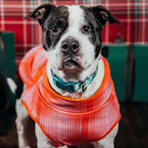 Thumbnail photo of Brooke #1