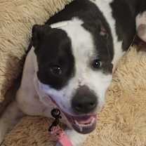 Thumbnail photo of Brooke #3