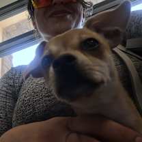 Thumbnail photo of Simba #3