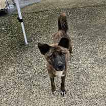 Thumbnail photo of White #4