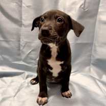 Thumbnail photo of Raya #1