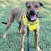 Thumbnail photo of Lainey #2