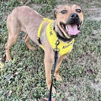 Thumbnail photo of Lainey #4