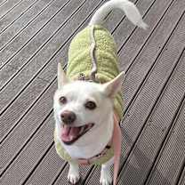 Thumbnail photo of Binnie #3