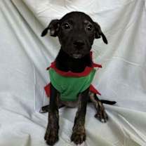 Thumbnail photo of Flora #1