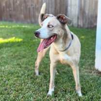 Thumbnail photo of Audio #2