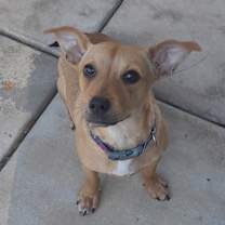 Thumbnail photo of Nellie #4