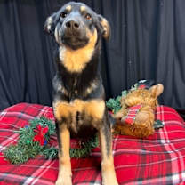 Thumbnail photo of (el) Jane #2