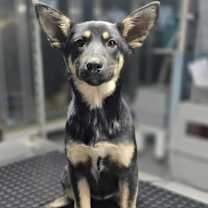 Thumbnail photo of (el) Jane #4