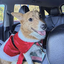 Thumbnail photo of Delilah #3