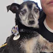 Thumbnail photo of Old Man Bruce #4