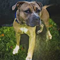 Thumbnail photo of Wink #2