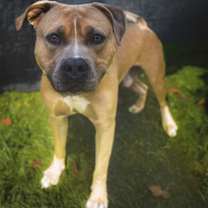 Thumbnail photo of Wink #3