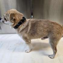 Thumbnail photo of Couscous #2