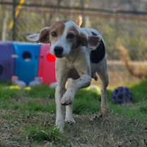 Thumbnail photo of Gladys #2