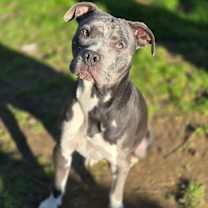 Thumbnail photo of Misha #1