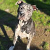 Thumbnail photo of Misha #2