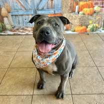 Thumbnail photo of Ivy #1