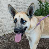 Thumbnail photo of Jill FJ #1