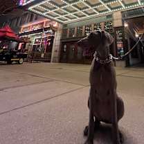 Thumbnail photo of Stassi #3