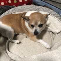 Thumbnail photo of Max Hadley #1