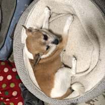 Thumbnail photo of Max Hadley #2