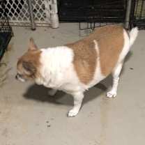 Thumbnail photo of Max Hadley #3