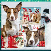 Thumbnail photo of Kenzie #4